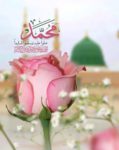 ПРОРОК ﷺ О ХАДИДЖЕ
