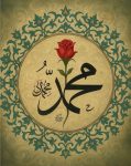ОСОБЕННОСТИ ПОСЛЕДНЕГО ПРОРОКА ﷺ