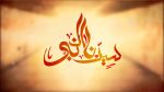 МОЖНО ЛИ ГОВОРИТЬ ГОСПОДИН МУХАММАД ﷺ?